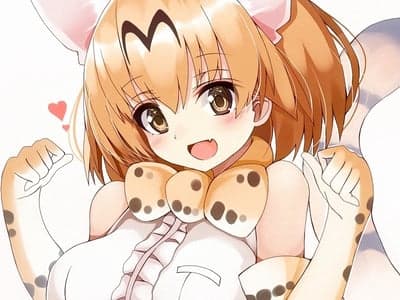 兽娘动物园