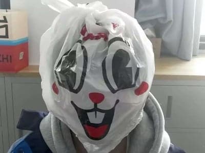 这蘑菇是真屌！ 图片 1