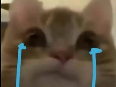 操男兽人