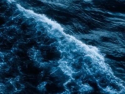 海神纪元：鲵灾之影