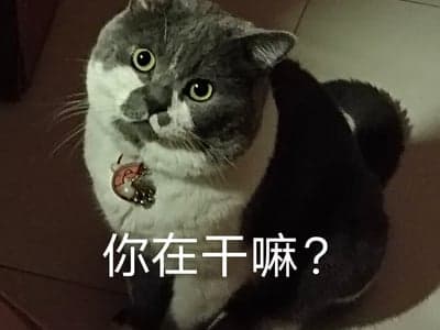 明明只是角色，在全游戏路过
