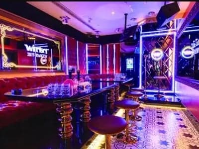 夜色撩人：商务KTV模拟器