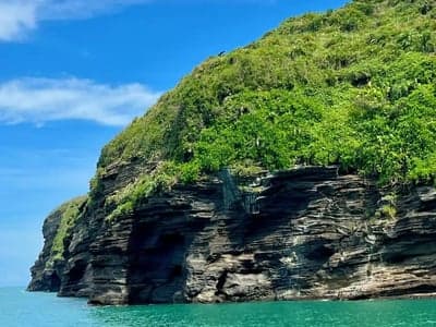 海岛求生系统：与五位女同学的求生探险之旅
