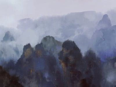 万花小医仙