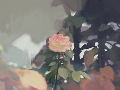 黑莲花生存手册
