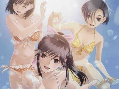 相爱十羽野