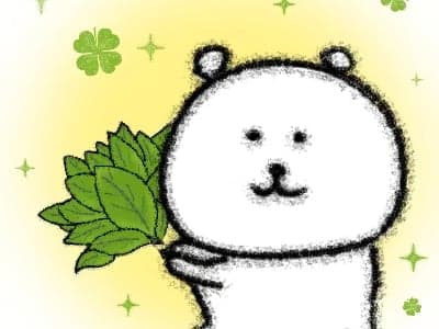 公主，请选择您的男人