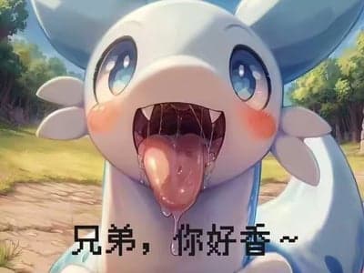 帕鲁西幻世界(魔改版)