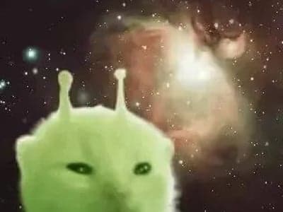 造物主实验室