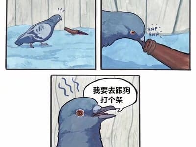 完蛋！因为异能不稳定被判定为C级公民了！
