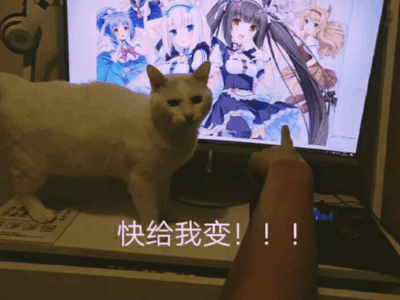 主人，我是咪咪啊