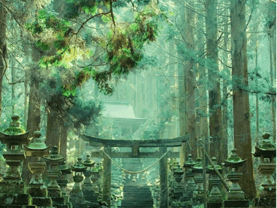 你这神社保正经吗？