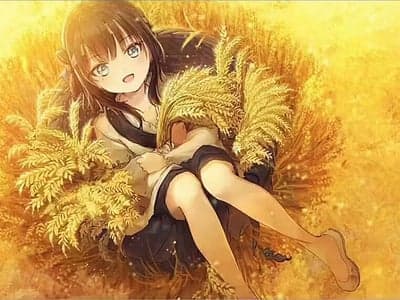 穿越明末的我解锁了三妻四妾系统