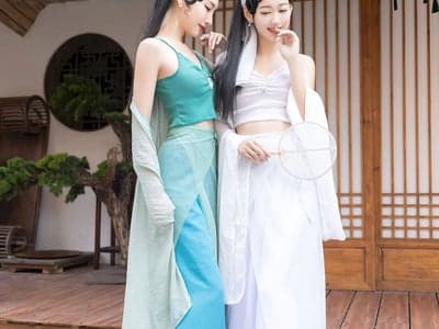 人妖母狗的雌堕愿望1.4V