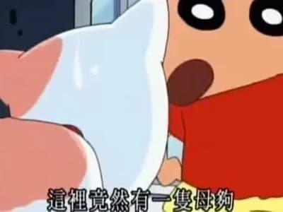 陆小曼
