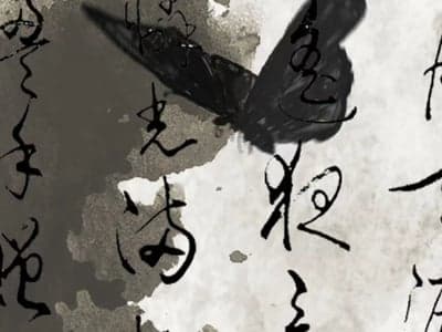 沈回风
