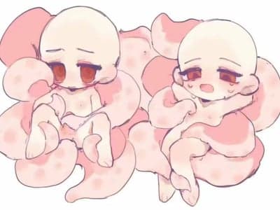 混沌侵蚀