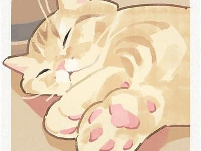 一只小猫