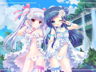 两只喵娘求收留