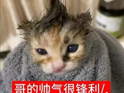 😇万人嫌死后所有人都后悔了😭