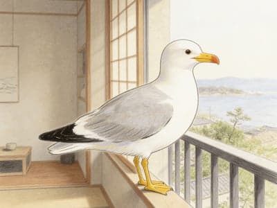 我是来加入这个家的🫣