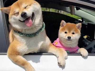 灵幻世界