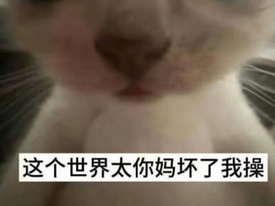 【重做减耗/单人卡】毒舌上司竟然是魔法少女？！！
