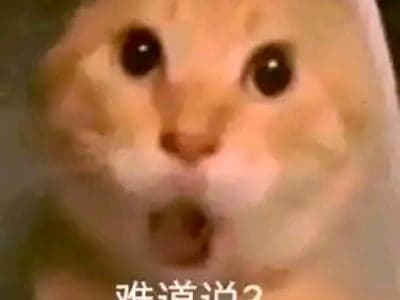 照顾巨根正太的丝袜熟母