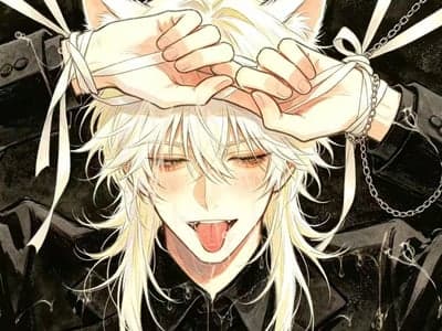 我捡了一只实验体小猫