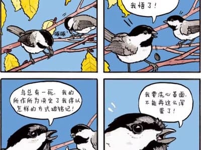 完蛋！看守我的狱卒是心有灵犀的双胞胎！