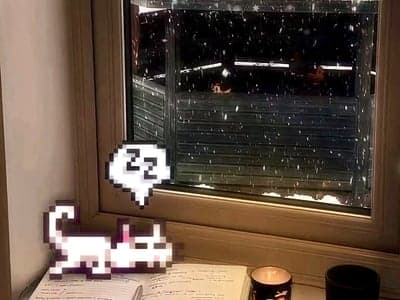 温馨猫咖咖啡馆
