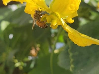 全都可以撡完