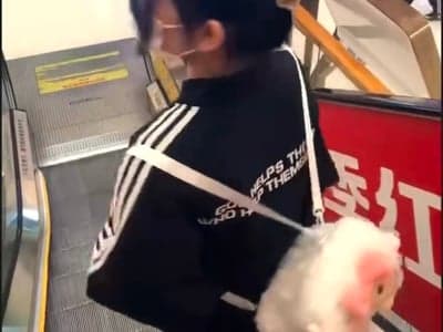 奸尸模拟器