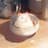Vek_woolly_mouse