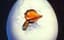 What.A.Quack