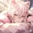 SoraNick