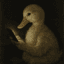noob_duck