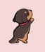 Daxy_
