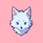 splash_kmk5bydcwg