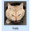 puddle_6w4wqarz3m