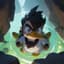 duck_xzs21nhsap
