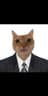 Don_gatto07