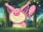 Skitty
