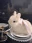 tired_rabbit