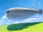feather_wbhfw4xvdk